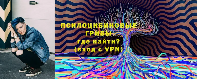 KRAKEN ССЫЛКА  где найти   Новопавловск  Галлюциногенные грибы Psilocybine cubensis 